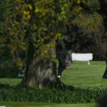 Claves de Messi despide a su padre junto a su familia en una ceremonia privada en Argentina