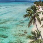«ONU Turismo destaca el auge del turismo dominicano: crecimiento de dos dígitos que impulsa la economía»
