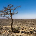 «El Niño 2026: La OMM alerta sobre su intensidad y pide preparación urgente»