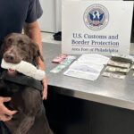 «Nitro, el perro detector, descubre $19,000 no declarados en pareja que viajaba a República Dominicana»