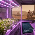 Elon Musk y la NASA frente a un problema insuperable: Las lechugas espaciales revelan los riesgos de colonizar Marte