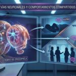 «El cerebro de la mosca: Un modelo para entender el comportamiento humano y la IA»