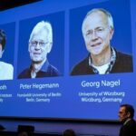 Los tres científicos que enseñaron al mundo a encender neuronas con luz reciben el Nobel de Medicina 2026