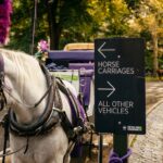 «El fin de una tradición de 160 años: Nueva York aprueba este jueves la ley que elimina los carruajes de caballos»